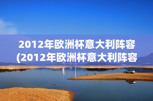 2012年欧洲杯意大利阵容(2012年欧洲杯意大利阵容表)