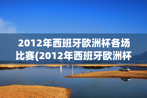 2012年西班牙欧洲杯各场比赛(2012年西班牙欧洲杯各场比赛结果)