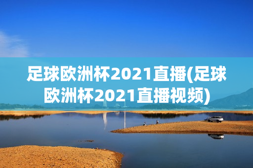 足球欧洲杯2021直播(足球欧洲杯2021直播视频)