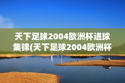 天下足球2004欧洲杯进球集锦(天下足球2004欧洲杯进球集锦视频)