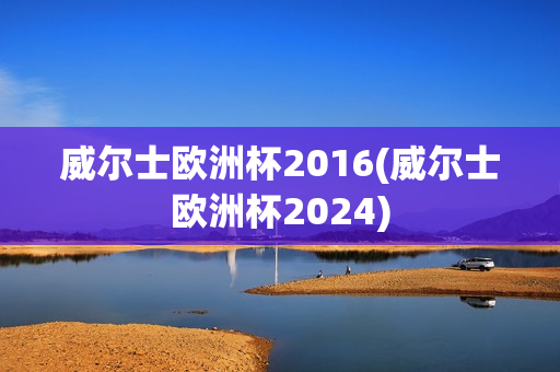 威尔士欧洲杯2016(威尔士欧洲杯2024)