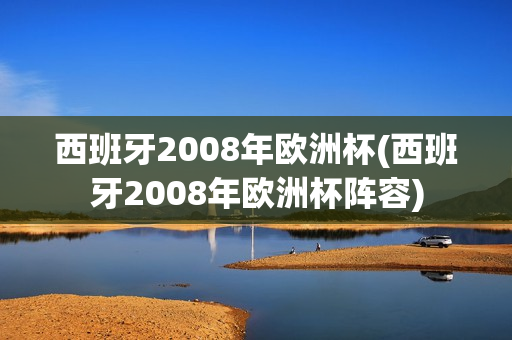 西班牙2008年欧洲杯(西班牙2008年欧洲杯阵容)