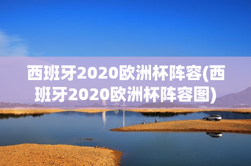 西班牙2020欧洲杯阵容(西班牙2020欧洲杯阵容图)