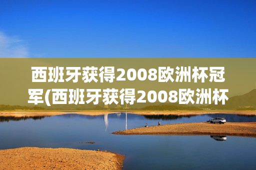 西班牙获得2008欧洲杯冠军(西班牙获得2008欧洲杯冠军是谁)