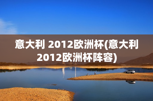 意大利 2012欧洲杯(意大利2012欧洲杯阵容)