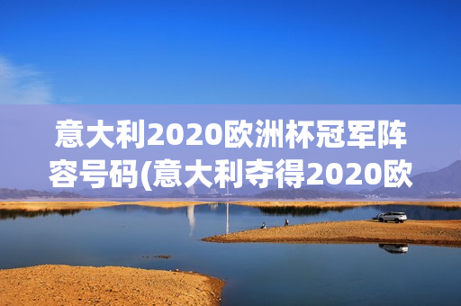 意大利2020欧洲杯冠军阵容号码(意大利夺得2020欧洲杯冠军阵容)