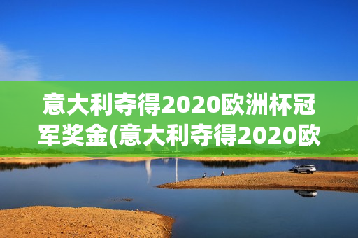 意大利夺得2020欧洲杯冠军奖金(意大利夺得2020欧洲杯冠军奖金多少)