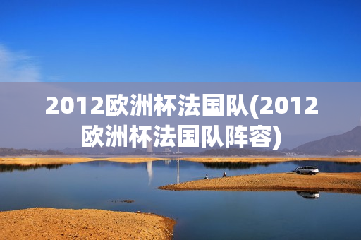 2012欧洲杯法国队(2012欧洲杯法国队阵容)