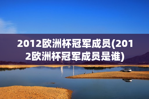 2012欧洲杯冠军成员(2012欧洲杯冠军成员是谁)