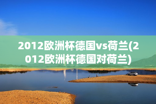 2012欧洲杯德国vs荷兰(2012欧洲杯德国对荷兰)