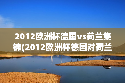 2012欧洲杯德国vs荷兰集锦(2012欧洲杯德国对荷兰)