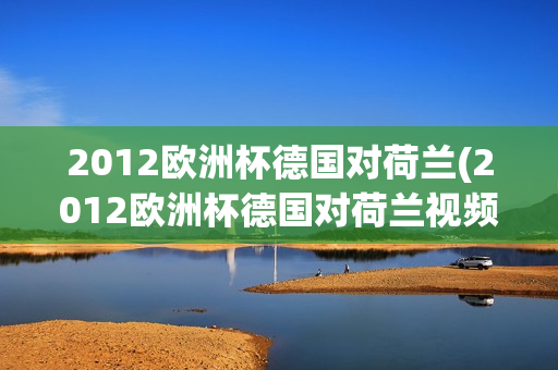 2012欧洲杯德国对荷兰(2012欧洲杯德国对荷兰视频回放)