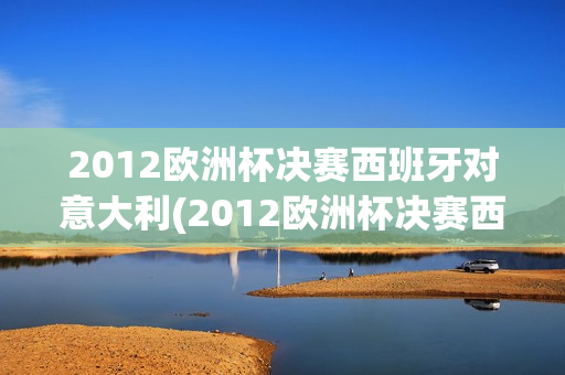 2012欧洲杯决赛西班牙对意大利(2012欧洲杯决赛西班牙对意大利比赛结果)