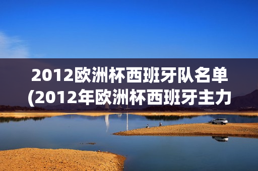 2012欧洲杯西班牙队名单(2012年欧洲杯西班牙主力阵容)