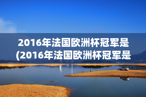 2016年法国欧洲杯冠军是(2016年法国欧洲杯冠军是谁)