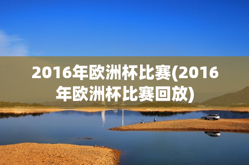 2016年欧洲杯比赛(2016年欧洲杯比赛回放)