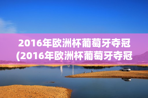 2016年欧洲杯葡萄牙夺冠(2016年欧洲杯葡萄牙夺冠经历)