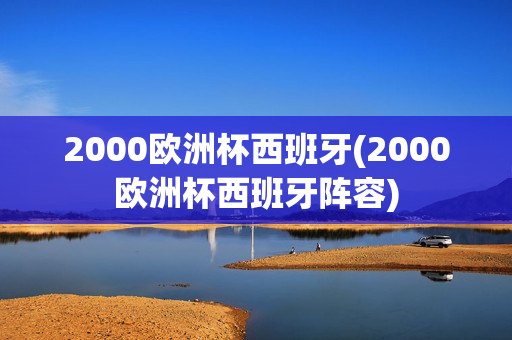 2000欧洲杯西班牙(2000欧洲杯西班牙阵容)