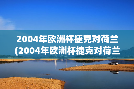 2004年欧洲杯捷克对荷兰(2004年欧洲杯捷克对荷兰比分)