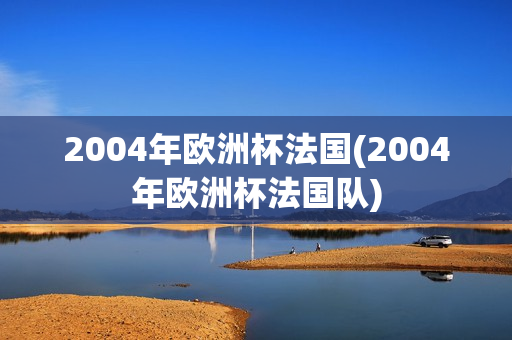 2004年欧洲杯法国(2004年欧洲杯法国队)