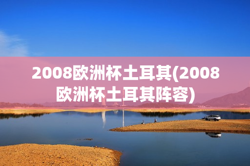 2008欧洲杯土耳其(2008欧洲杯土耳其阵容)