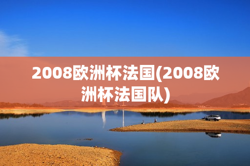 2008欧洲杯法国(2008欧洲杯法国队)