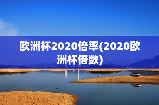 欧洲杯2020倍率(2020欧洲杯倍数)