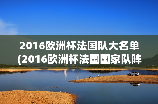 2016欧洲杯法国队大名单(2016欧洲杯法国国家队阵容)