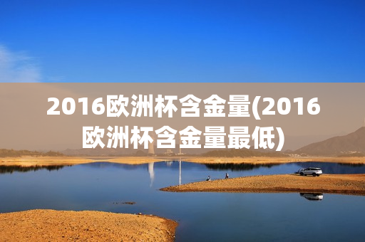 2016欧洲杯含金量(2016欧洲杯含金量最低)