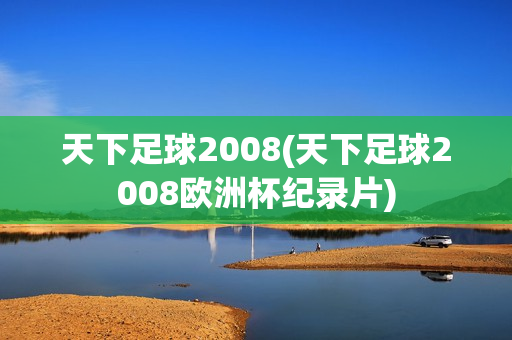 天下足球2008(天下足球2008欧洲杯纪录片)