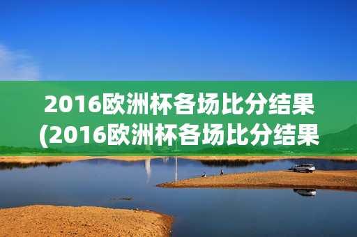 2016欧洲杯各场比分结果(2016欧洲杯各场比分结果表)