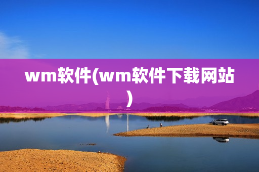 wm软件(wm软件下载网站)