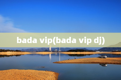 bada vip(bada vip dj)