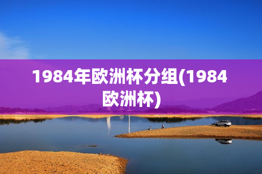 1984年欧洲杯分组(1984 欧洲杯)