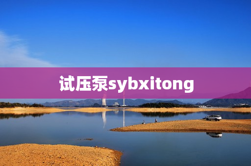 试压泵sybxitong