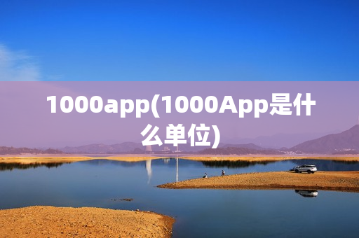 1000app(1000App是什么单位)