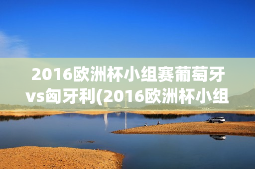 2016欧洲杯小组赛葡萄牙vs匈牙利(2016欧洲杯小组赛葡萄牙vs匈牙利全场视频直播)