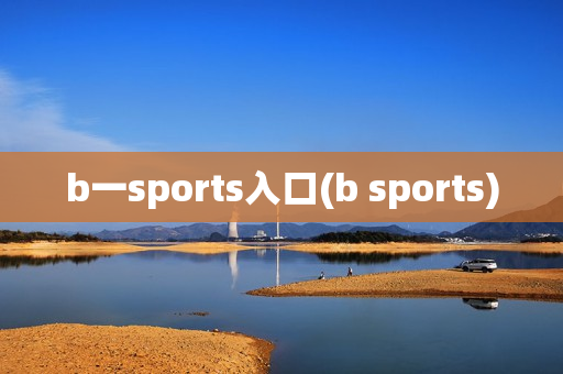 b一sports入口(b sports)