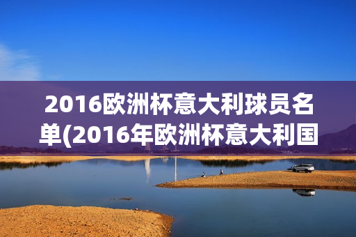 2016欧洲杯意大利球员名单(2016年欧洲杯意大利国家队阵容)