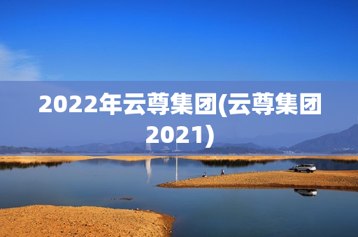 2022年云尊集团(云尊集团2021)