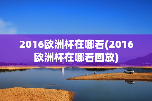 2016欧洲杯在哪看(2016欧洲杯在哪看回放)