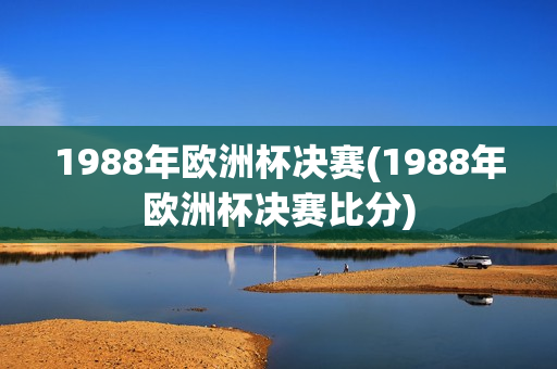 1988年欧洲杯决赛(1988年欧洲杯决赛比分)