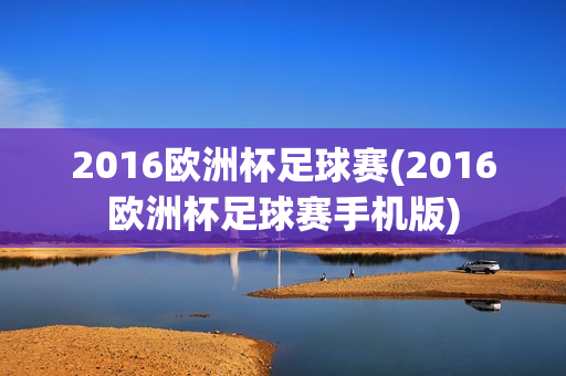 2016欧洲杯足球赛(2016欧洲杯足球赛手机版)