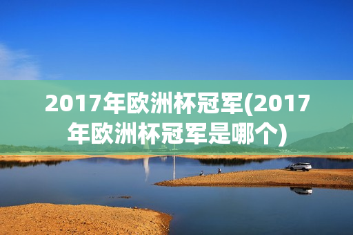 2017年欧洲杯冠军(2017年欧洲杯冠军是哪个)