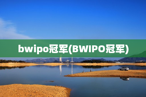 bwipo冠军(BWIPO冠军)