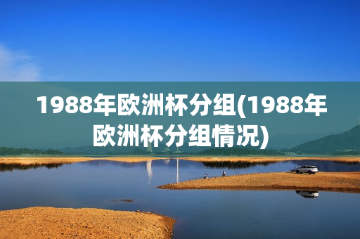 1988年欧洲杯分组(1988年欧洲杯分组情况)