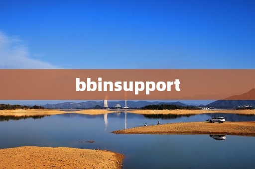 bbinsupport