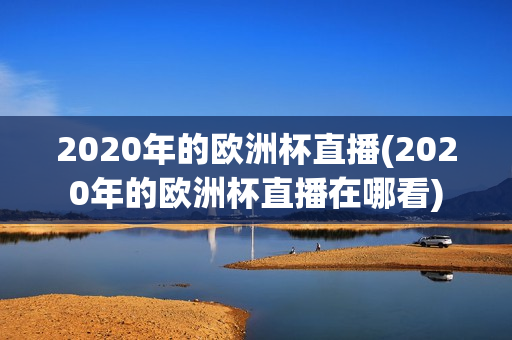 2020年的欧洲杯直播(2020年的欧洲杯直播在哪看)