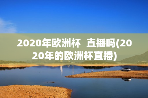 2020年欧洲杯  直播吗(2020年的欧洲杯直播)