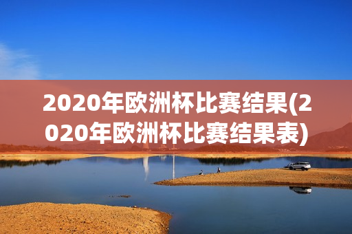 2020年欧洲杯比赛结果(2020年欧洲杯比赛结果表)